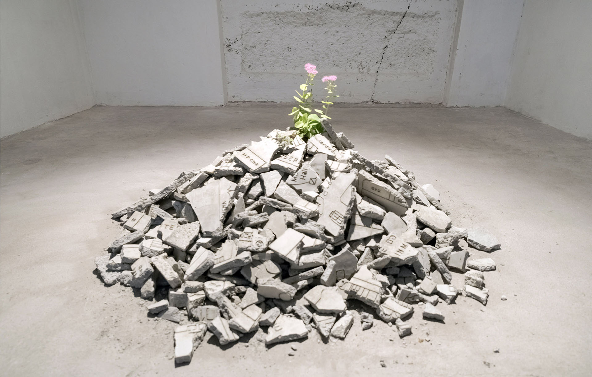 Performance of a Plant - 2013-15, variable measures fragment of art work and spontaneous plant, Collezione AGI - Verona